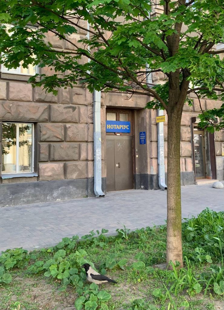 Trembach Victoria Nikolaevna140526-4
